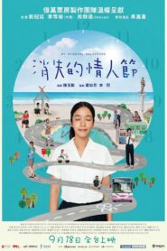 消失的情人節 Online En Netflix