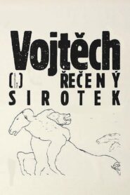 Vojtěch, řečený sirotek Online En Netflix