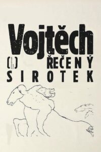 Vojtěch, řečený sirotek Online En Netflix