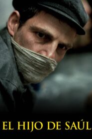 Saul fia Online En Netflix