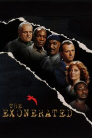The Exonerated Online En Netflix
