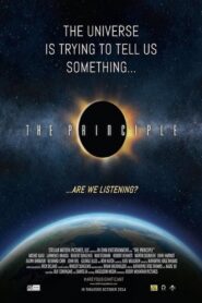 The Principle Online En Netflix