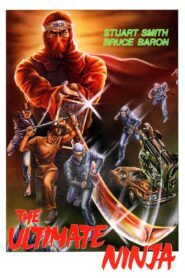 The Ultimate Ninja Online En Netflix