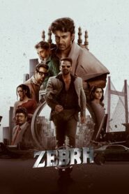 జీబ్రా Online En Netflix
