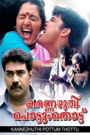 കണ്ണെഴുതി പൊട്ടും തൊട്ട് Online En Netflix
