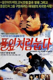 풀잎처럼 눕다 Online En Netflix