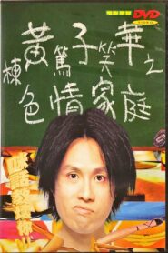 色情家庭 Online En Netflix