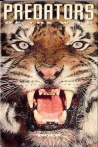 Predators of the Wild: Tiger Online En Netflix