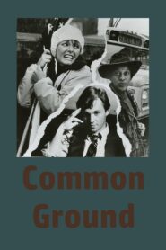 Common Ground Online En Netflix