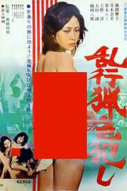 乱行猟色犯し Online En Netflix
