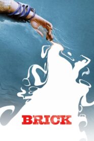 Brick Online En Netflix
