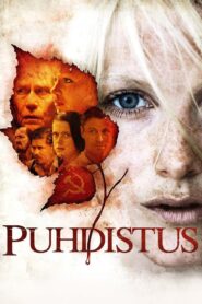 Puhdistus Online En Netflix