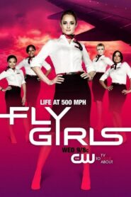 Fly Girls 2010 En Netflix