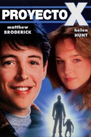 Project X Online En Netflix
