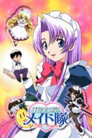 花右京メイド隊 LaVerite 2004 En Netflix
