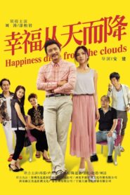 幸福从天而降 2014 En Netflix