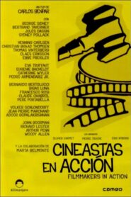 Cineastes en acció Online En Netflix