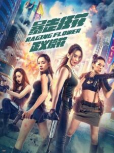 暴走狂花之正义校花 Online En Netflix