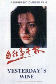 与往事干杯 Online En Netflix