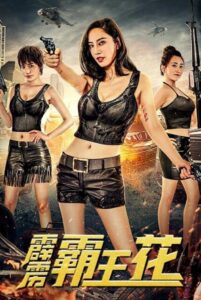 霹雳霸王花 Online En Netflix