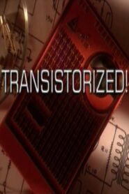 Transistorized! Online En Netflix