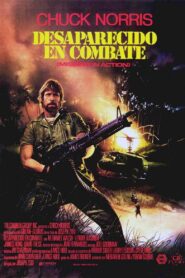 Perdido en acción Online En Netflix