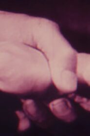 Mechanics Of The Brain Online En Netflix