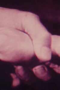 Mechanics Of The Brain Online En Netflix