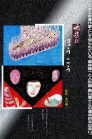 魂遊び　ほうこう Online En Netflix