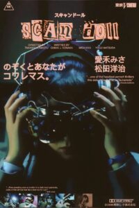 スキャンドール Online En Netflix