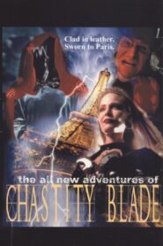 Les nouvelles aventures de Chastity Blade Online En Netflix
