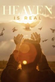 Heaven is Real Online En Netflix