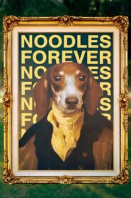 Noodles Forever Online En Netflix