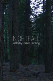 Nightfall Online En Netflix