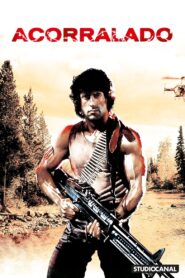 Rambo Online En Netflix