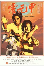 霍元甲 Online En Netflix