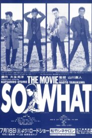 ＳＯ　ＷＨＡＴ Online En Netflix