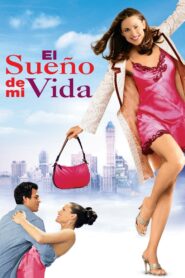 Si yo tuviera 30 Online En Netflix