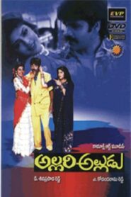 Allari Alludu Online En Netflix
