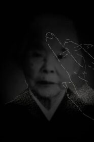 光の表象 Online En Netflix