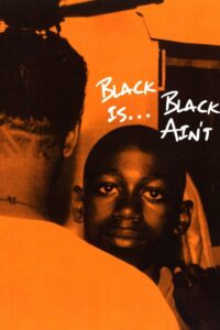 Black Is… Black Ain’t Online En Netflix