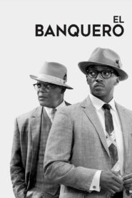 El banquero Online En Netflix