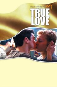 True Love Online En Netflix