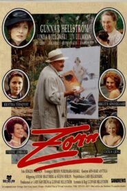 Zorn Online En Netflix