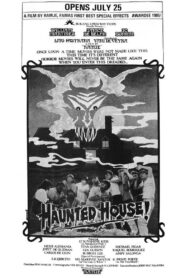 Haunted House! Online En Netflix