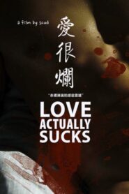 愛很爛 Online En Netflix