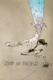 Ship of Theseus Online En Netflix