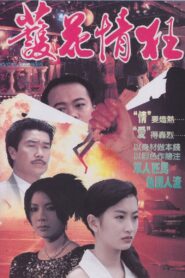 護花情狂 Online En Netflix