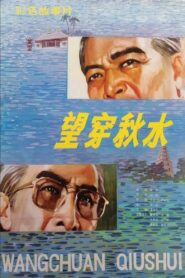 望穿秋水 Online En Netflix