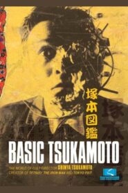 塚本図鑑 Online En Netflix